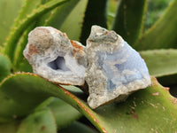 Natural Blue Lace Agate Geode Specimens x 24 From Nsanje, Malawi