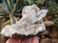 Natural Mixed Matrix Brandberg Quartz Clusters x 12 From Brandberg, Namibia
