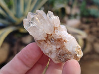 Natural Mixed Matrix Brandberg Quartz Clusters x 12 From Brandberg, Namibia