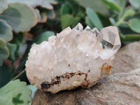 Natural Mixed Matrix Brandberg Quartz Clusters x 12 From Brandberg, Namibia