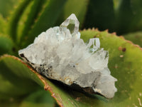Natural Mixed Matrix Brandberg Quartz Clusters x 12 From Brandberg, Namibia