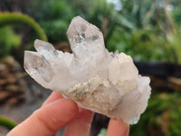 Natural Mixed Matrix Brandberg Quartz Clusters x 12 From Brandberg, Namibia