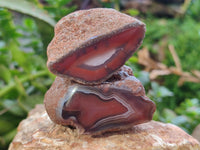 Polished On One Side Red Sashe River Agate Nodules x 24 From Zimbabwe