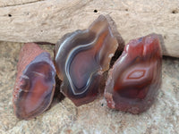 Polished On One Side Red Sashe River Agate Nodules x 24 From Zimbabwe