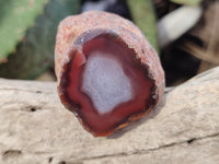 Polished On One Side Red Sashe River Agate Nodules x 24 From Zimbabwe