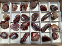 Polished On One Side Red Sashe River Agate Nodules x 24 From Zimbabwe