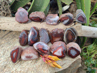 Polished On One Side Red Sashe River Agate Nodules x 24 From Zimbabwe