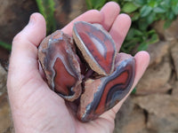 Polished On One Side Red Sashe River Agate Nodules x 24 From Zimbabwe