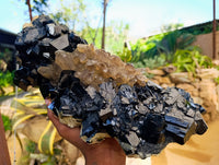 Natural Schorl Black Tourmaline with Smokey Quartz and Hyalite Opal Specimen x 1 From Erongo, Namibia