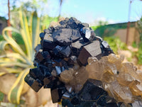 Natural Schorl Black Tourmaline with Smokey Quartz and Hyalite Opal Specimen x 1 From Erongo, Namibia