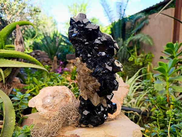 Natural Schorl Black Tourmaline with Smokey Quartz and Hyalite Opal Specimen x 1 From Erongo, Namibia