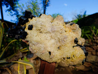 Natural Schorl Black Tourmaline with Smokey Quartz and Hyalite Opal Specimen x 1 From Erongo, Namibia