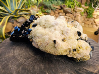 Natural Schorl Black Tourmaline with Smokey Quartz and Hyalite Opal Specimen x 1 From Erongo, Namibia