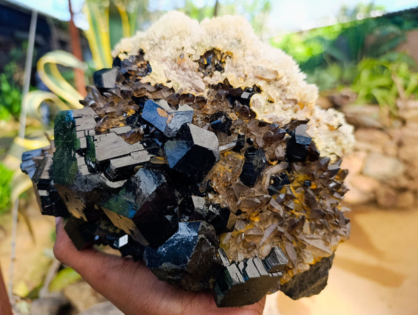Natural Schorl Black Tourmaline with Smokey Quartz Coated with Hyalite Opal Specimen x 1 From Erongo, Namibia