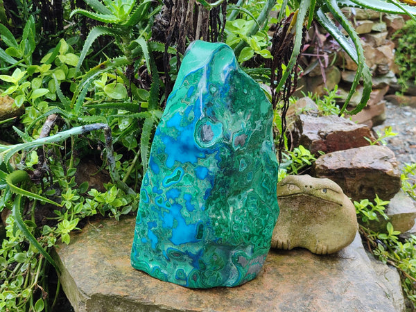 Polished Large Malacolla Standing Free Form x 1 From Kalukundi Mine, Congo