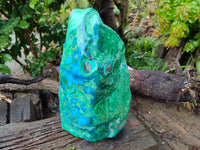 Polished Large Malacolla Standing Free Form x 1 From Kalukundi Mine, Congo