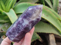 Polished Lepidolite with Pink Rubellite Points x 6 From Ambatondrazaka, Madagascar