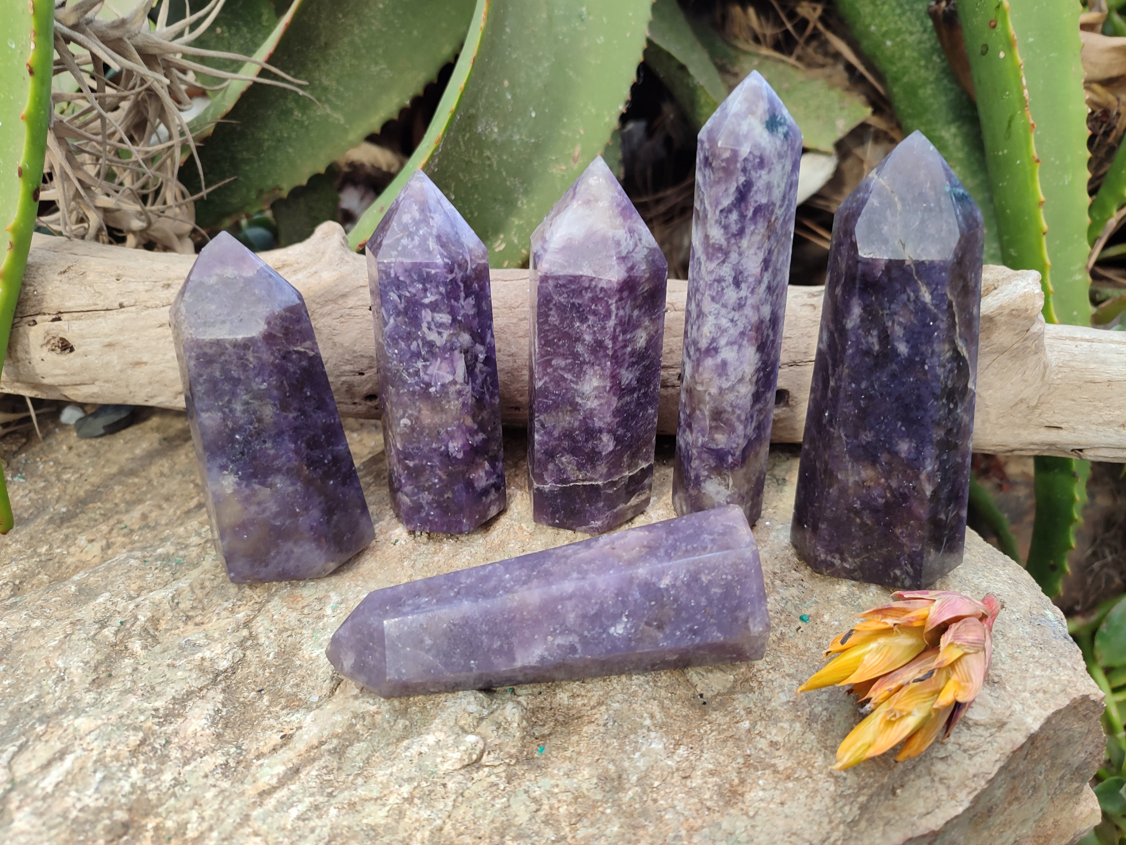 Polished Lepidolite with Pink Rubellite Points x 6 From Ambatondrazaka, Madagascar - Toprock Gemstones and Minerals 