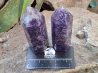 Polished Lepidolite with Pink Rubellite Points x 6 From Ambatondrazaka, Madagascar