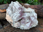 Natural Jacaranda Amethyst Quartz Cluster x 1 From Mumbwa, Zambia - Toprock Gemstones and Minerals 