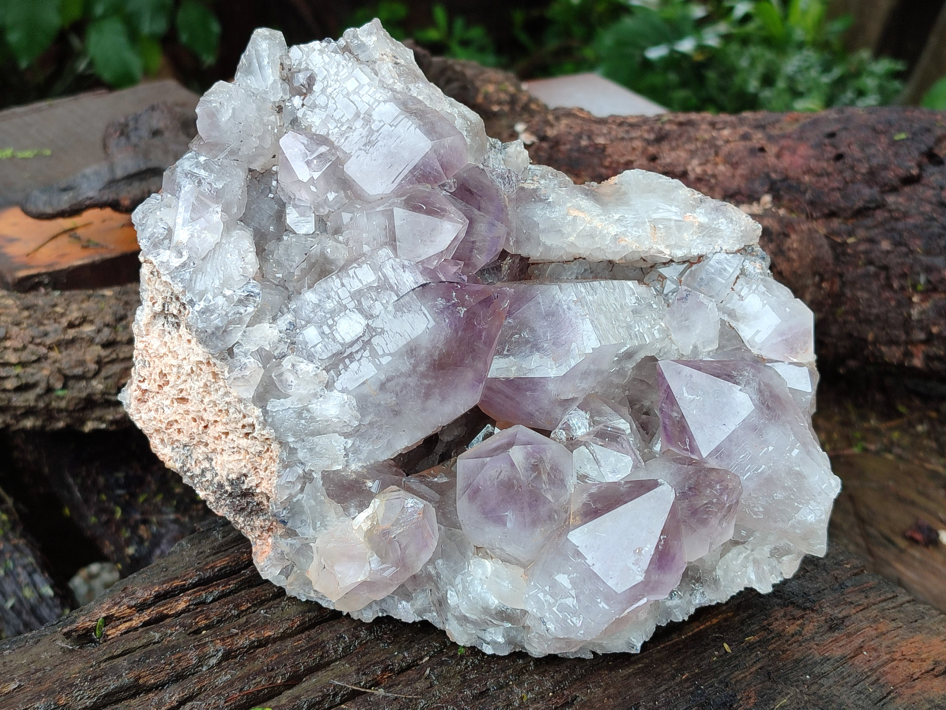Natural Jacaranda Amethyst Quartz Cluster x 1 From Mumbwa, Zambia - Toprock Gemstones and Minerals 