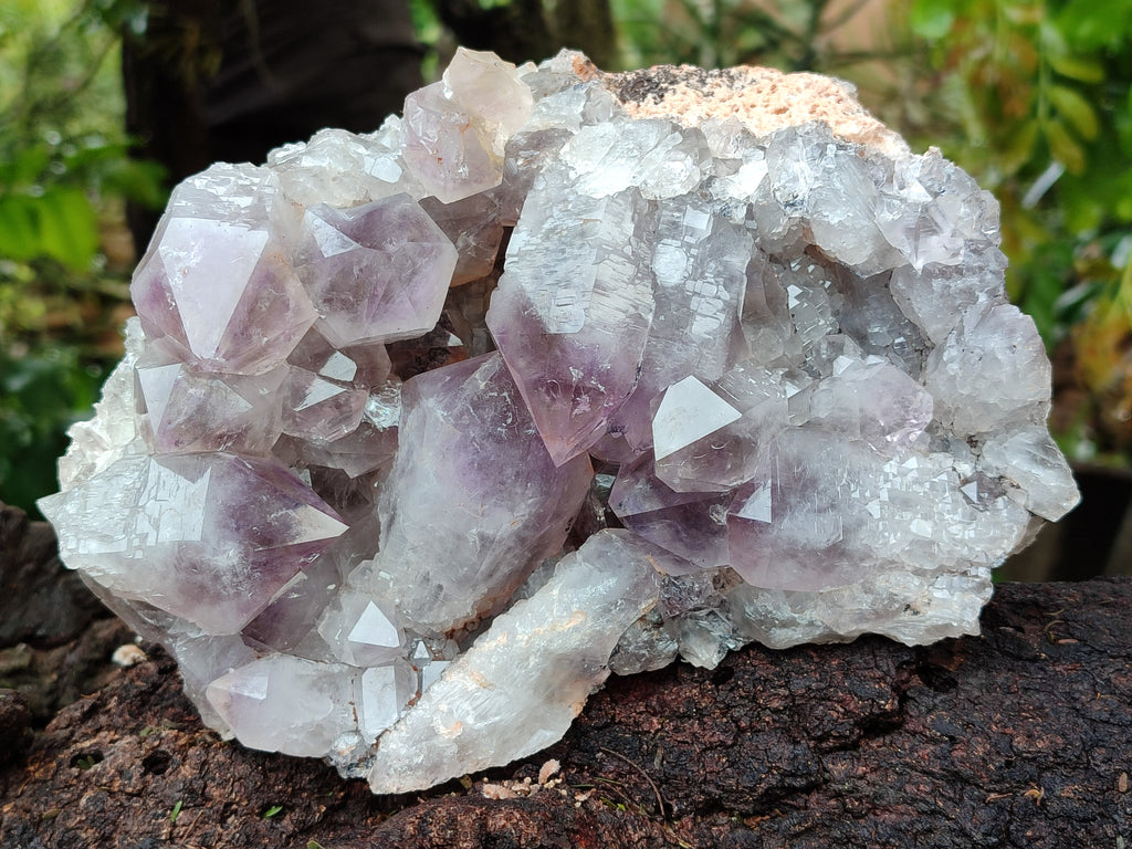 Natural Jacaranda Amethyst Quartz Cluster x 1 From Mumbwa, Zambia - Toprock Gemstones and Minerals 
