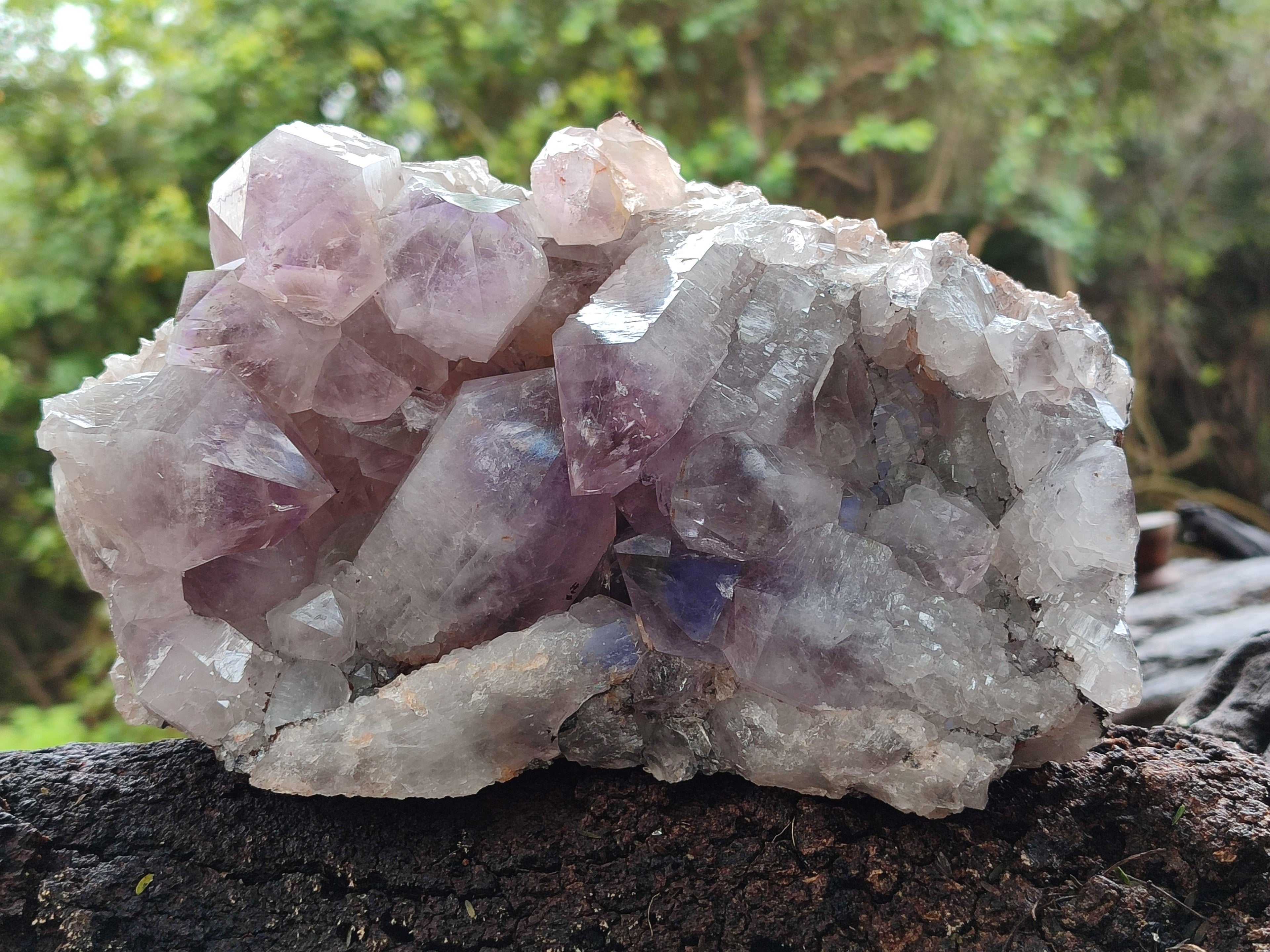 Natural Jacaranda Amethyst Quartz Cluster x 1 From Mumbwa, Zambia - Toprock Gemstones and Minerals 