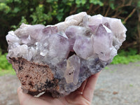 Natural Jacaranda Amethyst Quartz Cluster x 1 From Mumbwa, Zambia - Toprock Gemstones and Minerals 