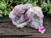 Natural Jacaranda Amethyst Quartz Cluster x 1 From Mumbwa, Zambia - Toprock Gemstones and Minerals 