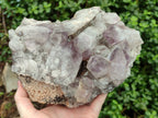 Natural Jacaranda Amethyst Quartz Cluster x 1 From Mumbwa, Zambia - Toprock Gemstones and Minerals 