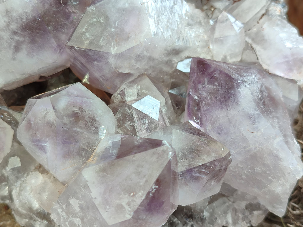 Natural Jacaranda Amethyst Quartz Cluster x 1 From Mumbwa, Zambia - Toprock Gemstones and Minerals 