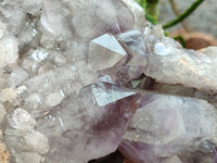 Natural Jacaranda Amethyst Quartz Cluster x 1 From Mumbwa, Zambia - Toprock Gemstones and Minerals 