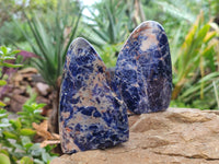 Polished Sodalite Standing Free Forms x 6 From Kunene River, Namibia - Toprock Gemstones and Minerals 