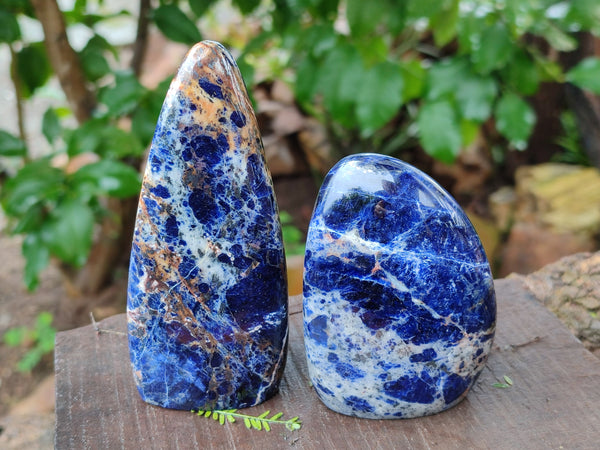 Polished Sodalite Standing Free Forms x 6 From Kunene River, Namibia