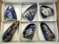 Polished Sodalite Standing Free Forms x 6 From Kunene River, Namibia - Toprock Gemstones and Minerals 