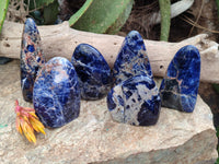 Polished Sodalite Standing Free Forms x 6 From Kunene River, Namibia - Toprock Gemstones and Minerals 