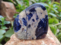Polished Sodalite Standing Free Forms x 6 From Kunene River, Namibia - Toprock Gemstones and Minerals 