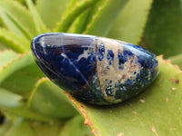 Polished Sodalite Standing Free Forms x 6 From Kunene River, Namibia - Toprock Gemstones and Minerals 