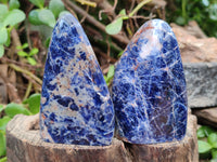 Polished Sodalite Standing Free Forms x 6 From Kunene River, Namibia - Toprock Gemstones and Minerals 