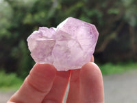 Natural Cactus Flower Sunburst Spirit Amethyst Clusters x 20 From Boekenhouthoek, South Africa