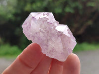 Natural Cactus Flower Sunburst Spirit Amethyst Clusters x 20 From Boekenhouthoek, South Africa