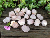 Natural Cactus Flower Sunburst Spirit Amethyst Clusters x 20 From Boekenhouthoek, South Africa