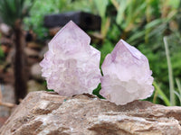 Natural Cactus Flower Sunburst Spirit Amethyst Clusters x 20 From Boekenhouthoek, South Africa