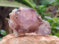 Natural Cactus Flower Sunburst Spirit Amethyst Clusters x 20 From Boekenhouthoek, South Africa