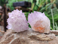 Natural Cactus Flower Sunburst Spirit Amethyst Clusters x 20 From Boekenhouthoek, South Africa