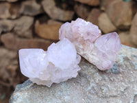 Natural Cactus Flower Sunburst Spirit Amethyst Clusters x 20 From Boekenhouthoek, South Africa