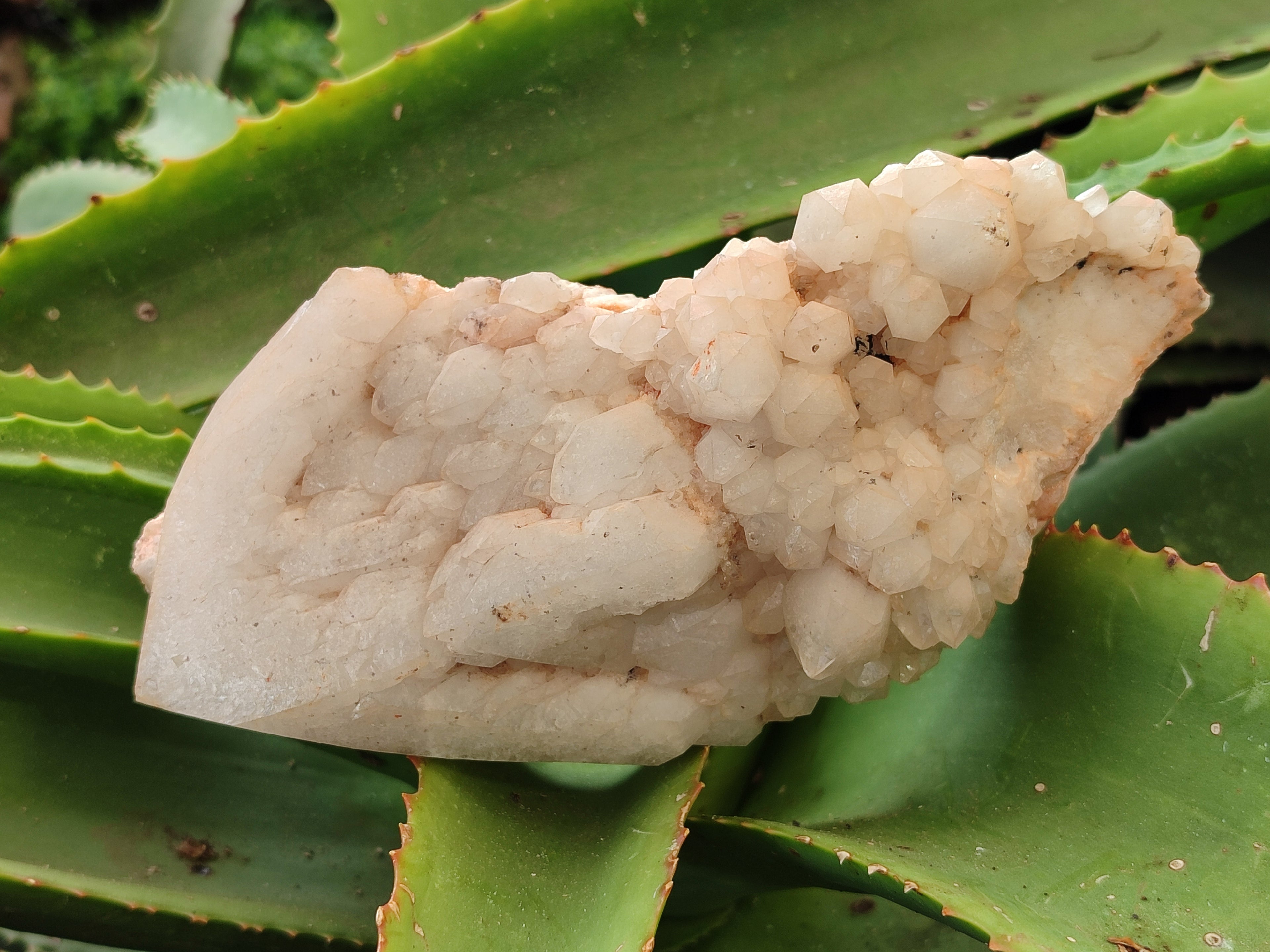 Natural White Cascading Fir Tree Candle Quartz Clusters x 3 From Madagascar - Toprock Gemstones and Minerals 