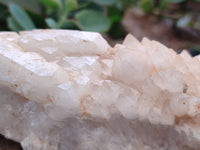 Natural White Cascading Fir Tree Candle Quartz Clusters x 3 From Madagascar