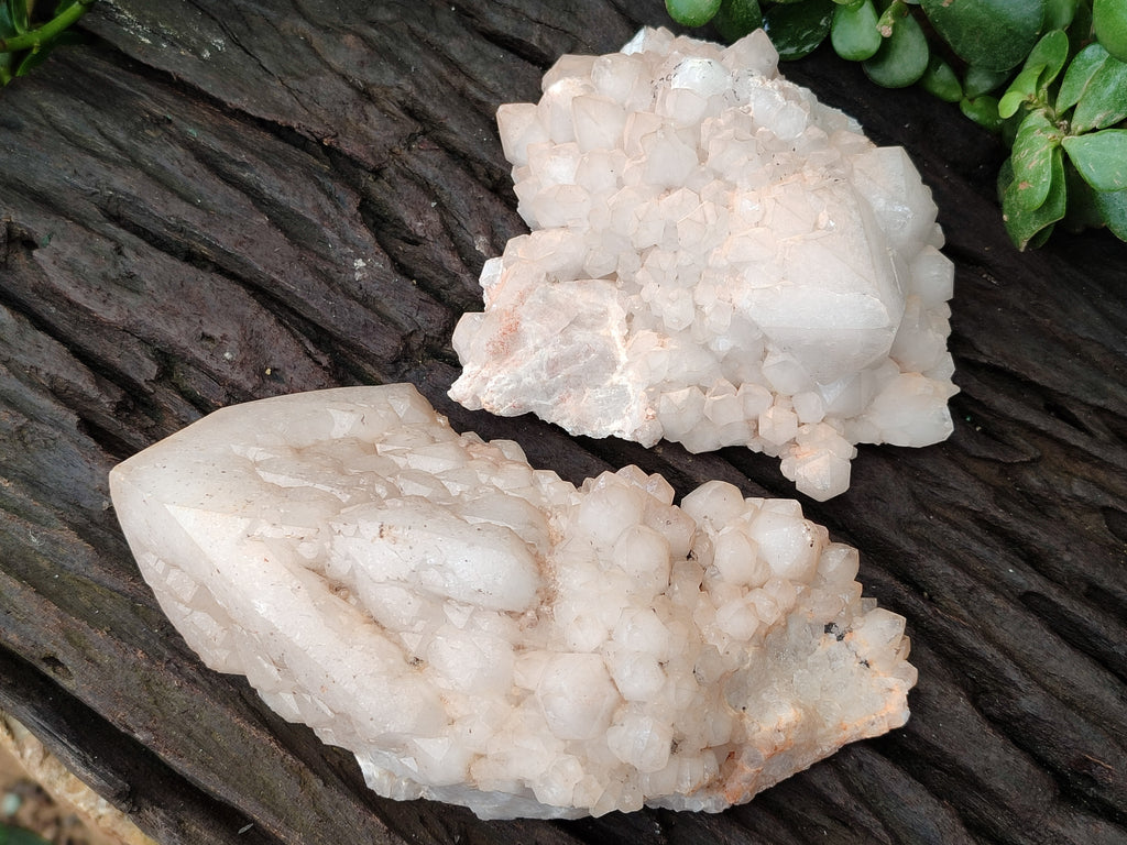 Natural White Cascading Fir Tree Candle Quartz Clusters x 3 From Madagascar - Toprock Gemstones and Minerals 