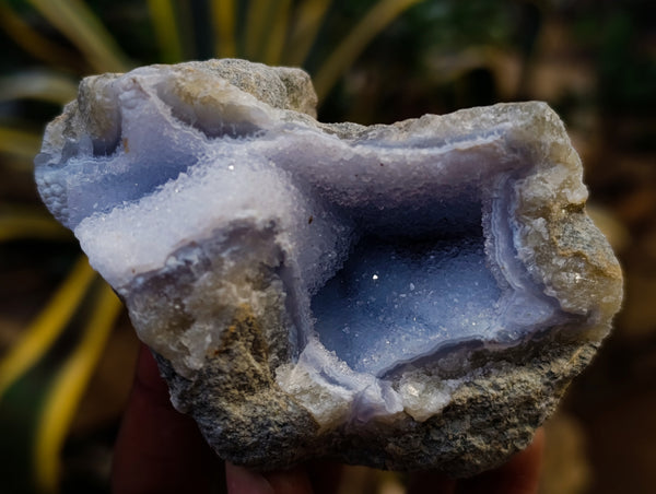 Natural Blue Lace Agate Geode Specimens x 12 From Nsanje, Malawi